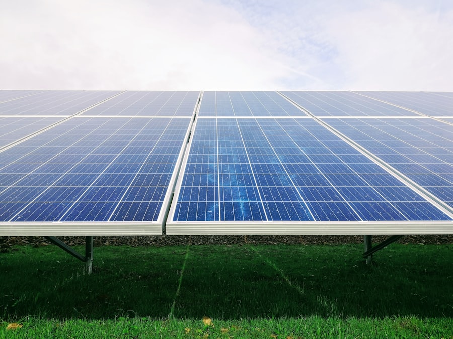 SolarAfrica: Sovereign Foods & Yanfeng Rosslyn